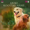 About Arike Koottay Arike (From "Valatty - Tale of Tails") Song