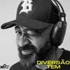 About Diversão Tem Song