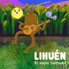 About El sapo Samuel Song