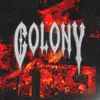 About COLONY Song