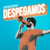 About Despegamos Song