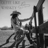 About Quite Like Whiskey Song