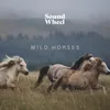 Wild horses