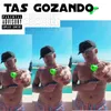 About Tas Gozando Song