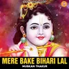 About Mere Bake Bihari Lal Song