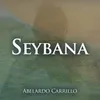 About Seybana Song