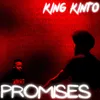About PROMISES Song