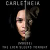 About Mbube (The Lion Sleeps Tonight) Song