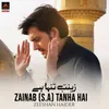About Zainab S.A Tanha Hai Song