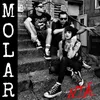 MOLAR (feat. Alex Pascow)