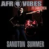 About Sandton Summer Song