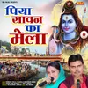 About Piya Sawan Ka Mela Song