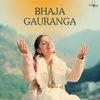 About Bhaja Guaranga Song