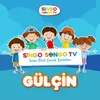 Gülçin Gökyüzünü Keşfediyor