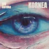 Kornea