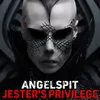 About Jester's Privilege Song