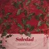 About Soledad / Navidad Song