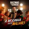 About A Modinha Deste Malhão Song