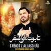 About Taboot E Ali Asghar Song