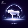 About Taurus Song
