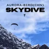 Skydive