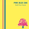 About Build Your House Song