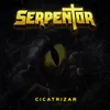 About Cicatrizar Song