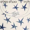 About כוכבים נופלים Song