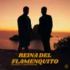About Reina del Flamenquito Song