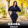 About Dikkat Song