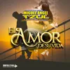 About El Amor de su Vida Song