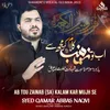 About Ab Tou Zainab Sa Kalam Kar Mujhi Se Song