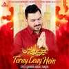 About Teray Leay Hein Song