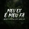 About Meu Ex É Meu Fã Song