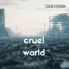About Cruel World Song