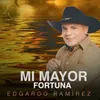 About Mi Mayor Fortuna Song