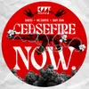 About Ceasefire Now Song