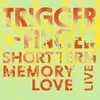 Short Term Memory Love