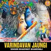 Varindavan Jaungi