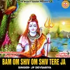 About Bam Om Shiv Om Shiv Tere Ja Song