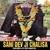 About Sani Dev Ji Chalisa Song