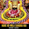 About Hare Ko Mila Sahara Hai Song
