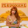 About Perdóname Song