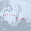 Conejos Blancos