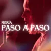 About Paso a Paso Song