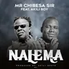 About Nalema Song