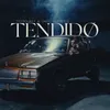 About TENDIDO Song