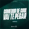 About COMEDOR DE COOL VAI TE PEGAR Song