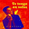 About Te tengo en salsa Song