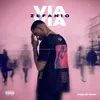 About Via Via Song